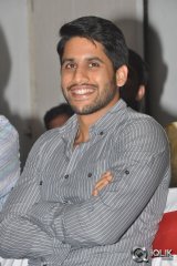 Oka Laila Kosam Movie Success Meet